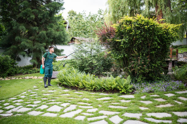 Professional Pest Control in Wild Peach Village, TX