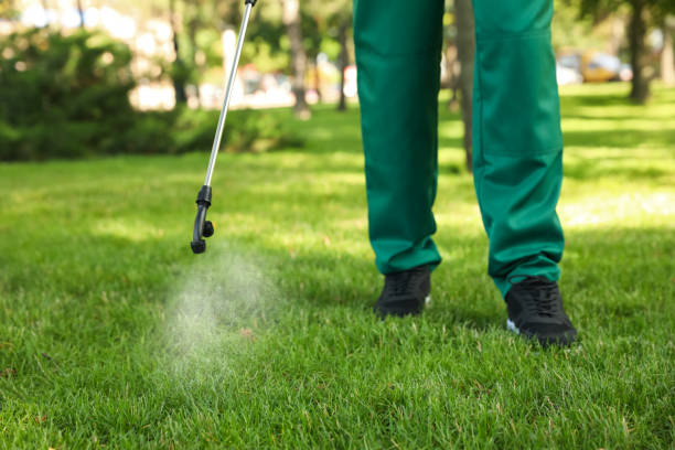 Best Mosquito Control Services  in Wild Peach Village, TX