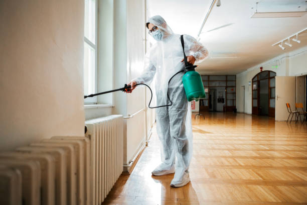 Best Cockroach Control Services  in Wild Peach Village, TX